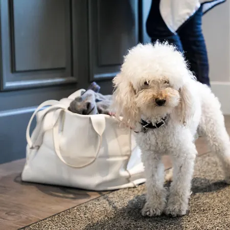 Belvedere 3* 스트레사