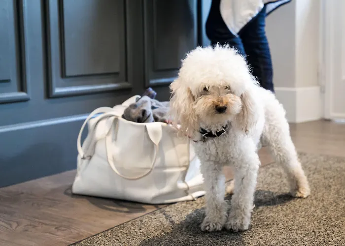 Belvedere 3* Стреза